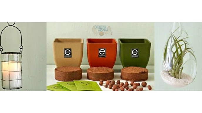 Chapters Canada: Gardening Items up to 50% off