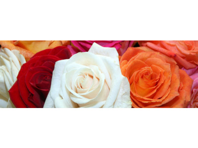 Groupon: $20 for $40 Worth of Flowers and Gifts @ FTD.ca