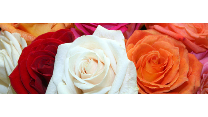 Groupon: $20 for $40 Worth of Flowers and Gifts @ FTD.ca