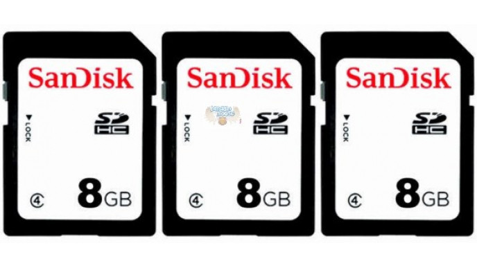 eBay Canada: New SanDisk 8GB Class4 SDHC Memory Card - $9.99US + Free Shipping