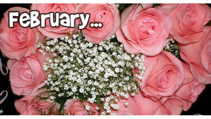 Monthly & Seasonal Sales Cycles: How to get the Best Deals in February