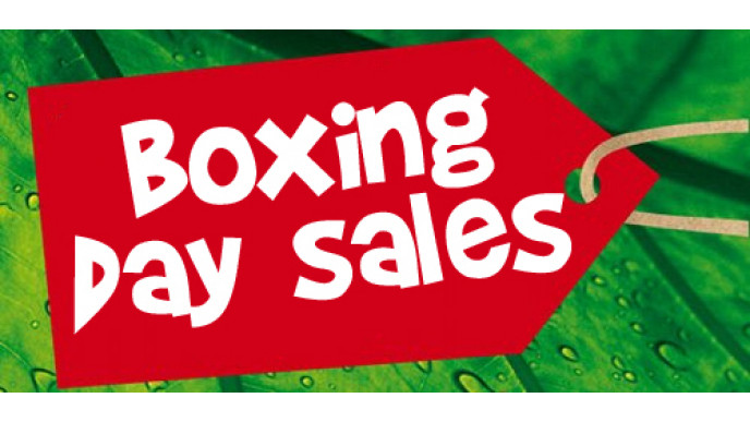 Fun On The Forums, Hot Deals Of Course! 