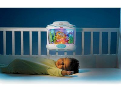 Ocean Wonders Aquarium Now $33