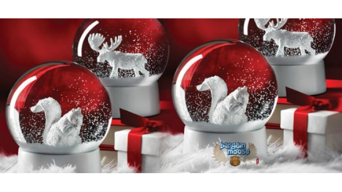 Chapters Canada: Family & Friends Event (Nov. 12-13)