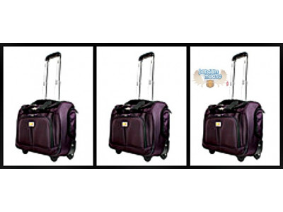 The Bay Canada: Save Over $130 Off Via Rail Rolling Tote Bag