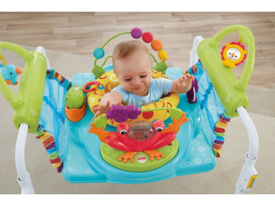 Fisher Price First Steps Jumperoo was $140 now $56 & Free Shipping @ Amazon.ca (EXPIRED)