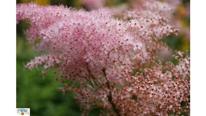 Groupon: $69 For a 16 x 20 Gallery Wrapped Canvas from 44 Wide ($196.50 Value)