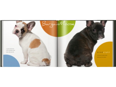 Blurb: 20% Off 2 Books+ Coupon Code