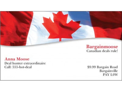 Vistaprint.ca: 500 Business Cards For $5 & Free Shipping (Hot!)