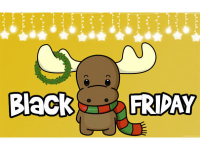 Black Friday is TOMORROW!! (EXPIRED)