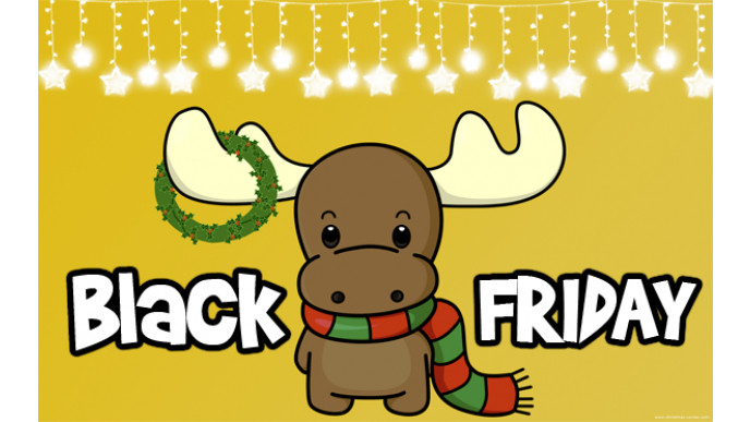 Black Friday is TOMORROW!! (EXPIRED)