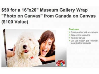 TeamSave: $50 for a 16"x20" Museum Gallery Wrap from Canada on Canvas ($100 Value)