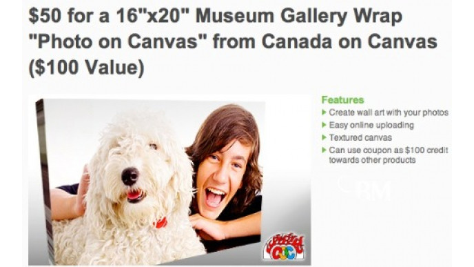TeamSave: $50 for a 16"x20" Museum Gallery Wrap from Canada on Canvas ($100 Value)