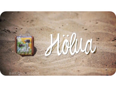 eBay: Skullcandy Holua Mic'd Gold Earphones Earbuds 77% Off