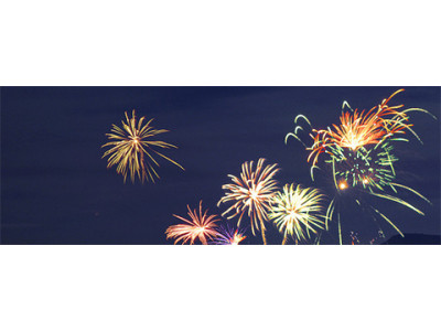 Happy New Year Moosers!