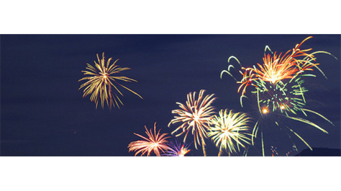 Happy New Year Moosers!