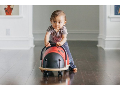 Prince Lionheart Wheely Ladybug (Large) was $85 now $35 + Free Shipping @ Amazon.ca (EXPIRED)