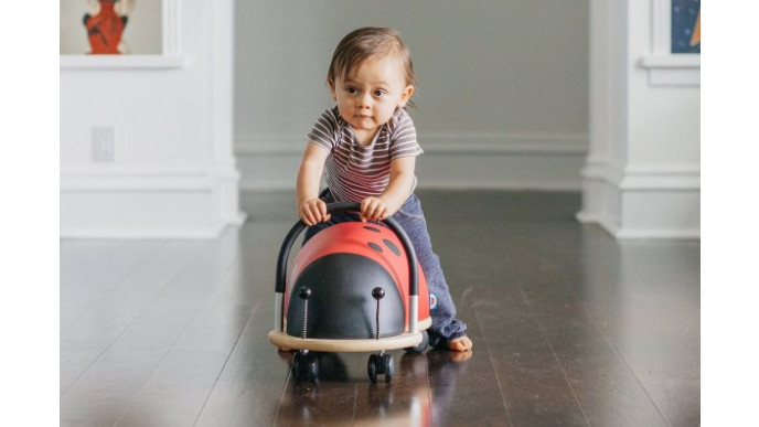 Prince Lionheart Wheely Ladybug (Large) was $85 now $35 + Free Shipping @ Amazon.ca (EXPIRED)