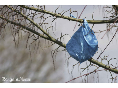 Canadian Freebies: Ocean Spray Reusable Bag