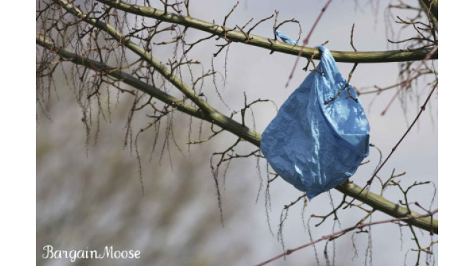 Canadian Freebies: Ocean Spray Reusable Bag