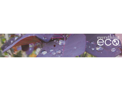 EverythingEco.ca Coupon Code