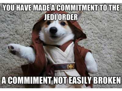 Star Wars Car Accessory Bundle was $50 now $30 @ Walmart.ca