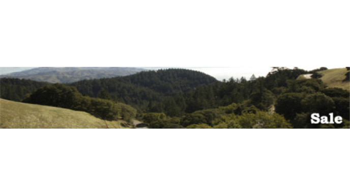 Roots Summer Sale: Save up to 50%