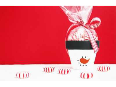 DIY: Adorable Christmas Candy Pots!