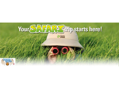 Toronto Zoo Admission: 15% Discount On Membership