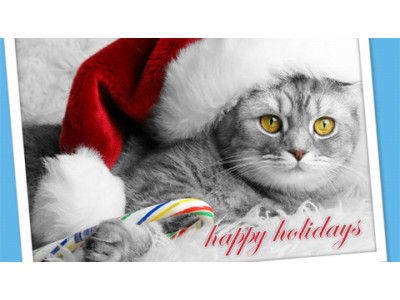 PJ’s Pets / Pets Unlimited: December Deals! (ON, AB & BC)