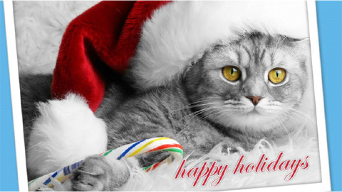 PJ’s Pets / Pets Unlimited: December Deals! (ON, AB & BC)