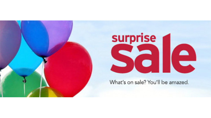 Sears Surprise Sale: November 12th & 13th Only!