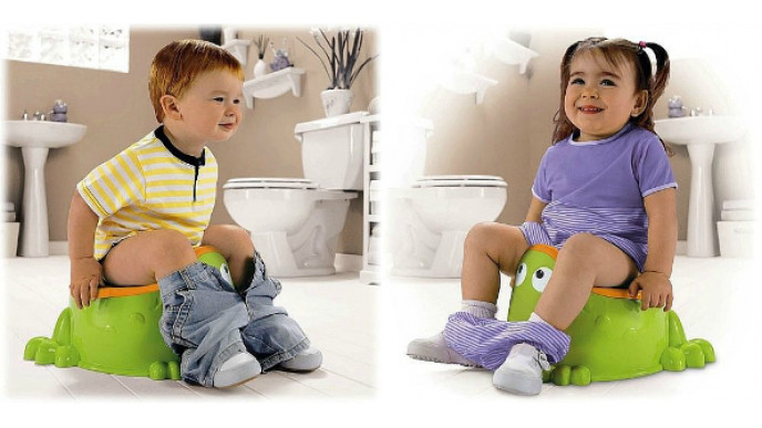 Fisher-Price Froggy Potty Was $21 | Now $12 & Free Shipping @ eBay Canada