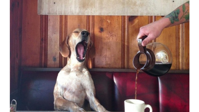 Mac's Stores Coupon: Free Small Coffee For Halloween!