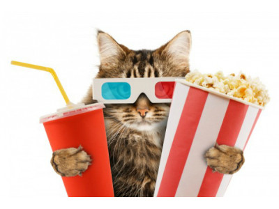 Cineplex Community Day: Free Movies & $2 Concession on Saturday