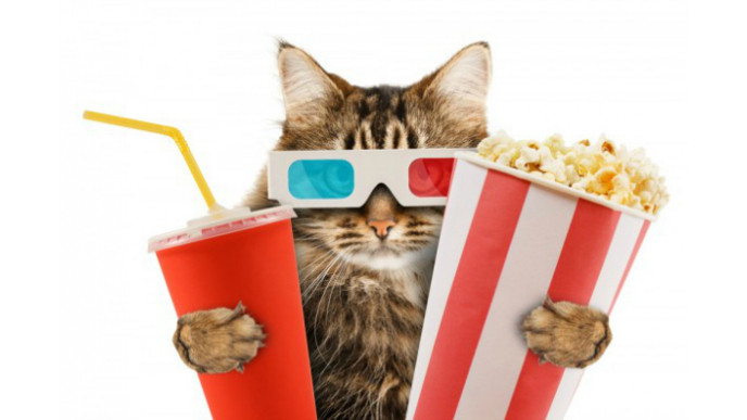 Cineplex Community Day: Free Movies & $2 Concession on Saturday