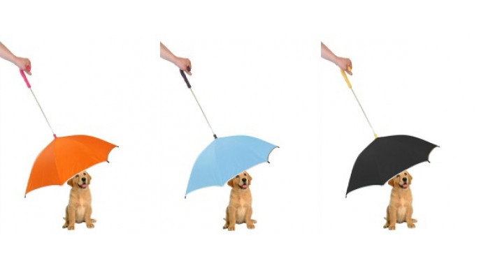 Amazon Canada: Dog-brella Was $34 | Now $7 (EXPIRED)