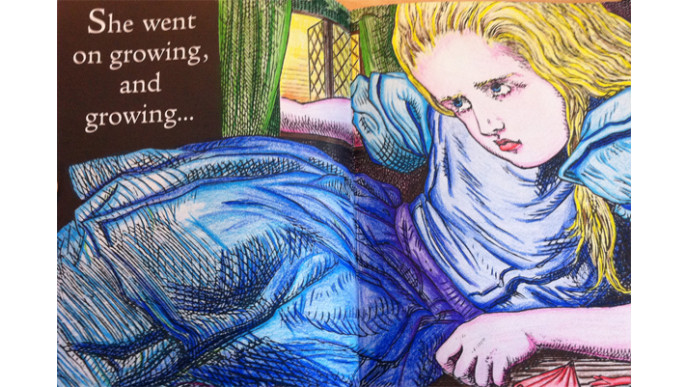 (55% off) Beautiful Alice Colouring Book only $9 Shipped & Inc Tax @ The Book Depository! * HOT * (EXPIRED)