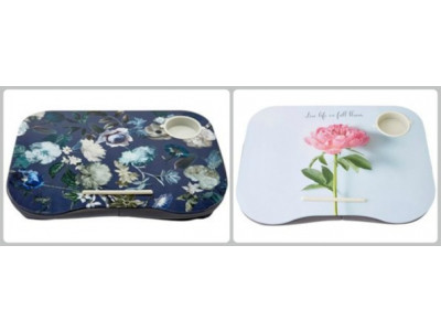 Lapdesks From $12 @ Chapters.Indigo.ca!