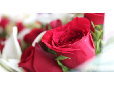 Save 15% off Valentine's Bouquets with Code & Free Delivery @ CanaFlora