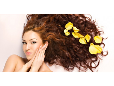 Garnier Whole Blends Hair Care Freebies!