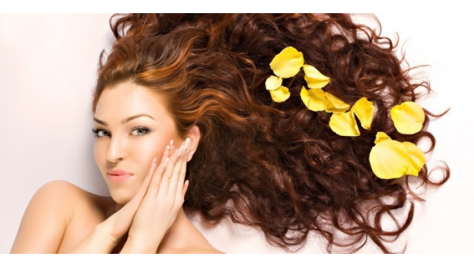 Garnier Whole Blends Hair Care Freebies!