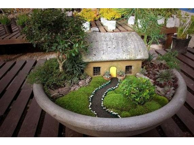 DIY: Affordable Fairy Gardens!?