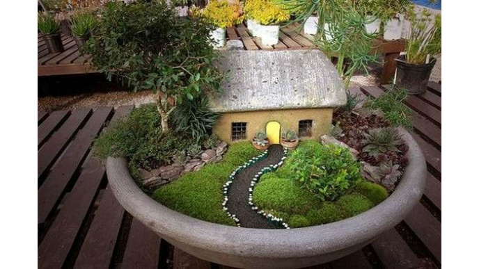 DIY: Affordable Fairy Gardens!?