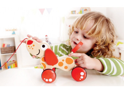 Chapters Indigo Canada: Free Shipping With No Minimum Purchase!!