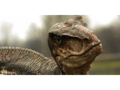 Jurassic World Toys on Clearance From $5 @ Walmart.ca