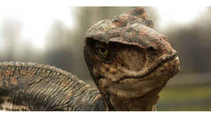 Jurassic World Toys on Clearance From $5 @ Walmart.ca