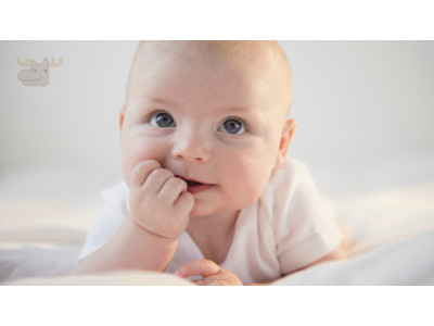 Pampers Natural Clean Wipes 9x Box (648 Count) Was $20 | Now $14 @ Amazon.ca