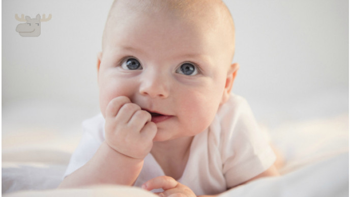 Pampers Natural Clean Wipes 9x Box (648 Count) Was $20 | Now $14 @ Amazon.ca