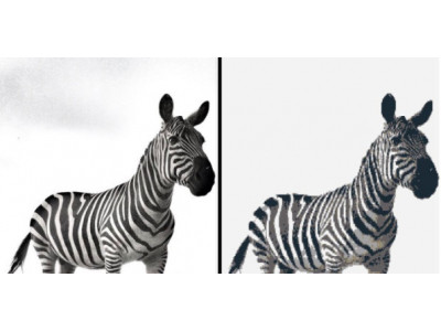 Turn Your Favourite Photos Into Lego Models for Free With Legoizer!